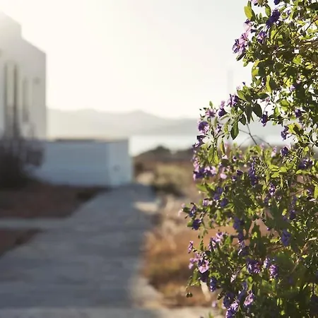 Prázdninový dům Aelia Sunset