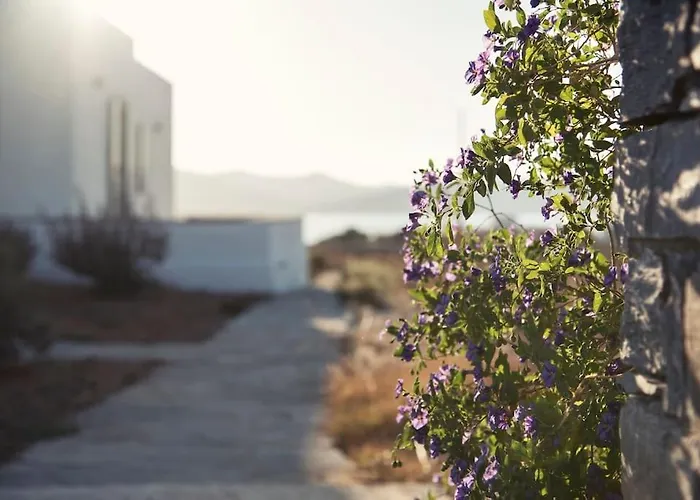 Tatil Evi Aelia Sunset